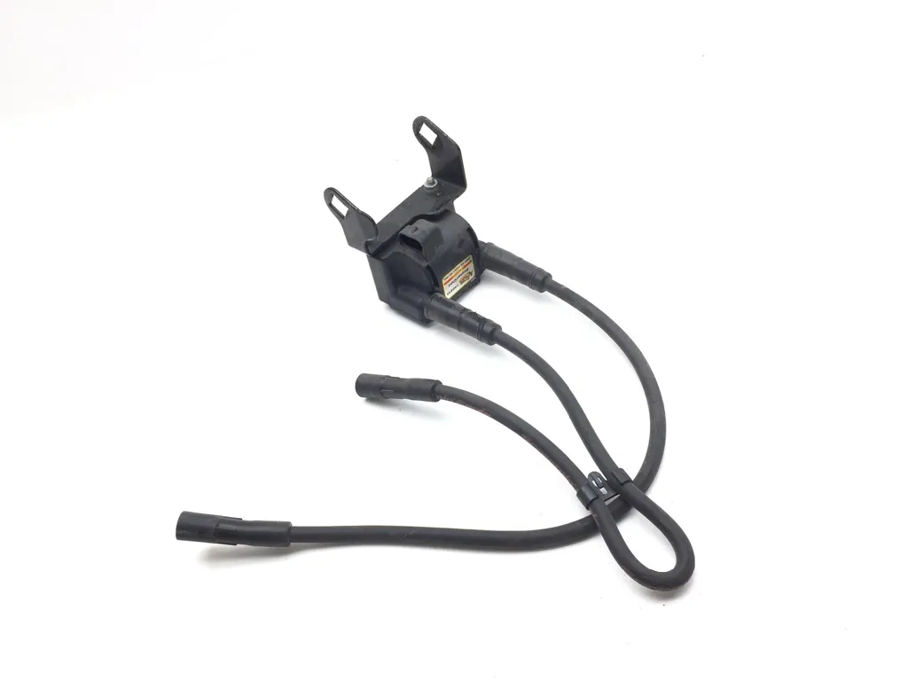 Ignition Coil Set 2007 Harley-Davidson Electra Glide Classic FLHTC 3402