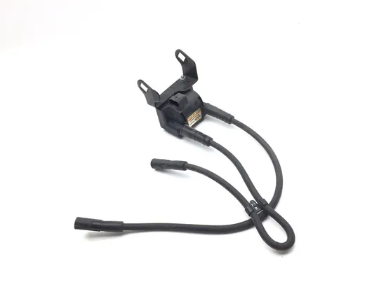 Ignition Coil Set 2007 Harley-Davidson Electra Glide Classic FLHTC 3402