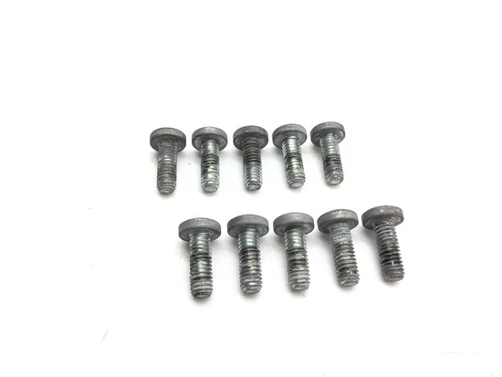 Front Brake Rotor Bolts 2007 Harley-Davidson Electra Glide Classic FLHTC 3402 2