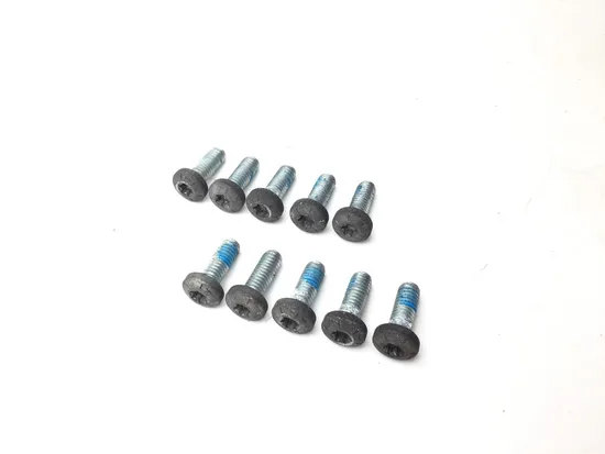 Harley-Davidson 2010 Electra Glide Ultra Classic Front Brake Rotor Bolts 3418 3