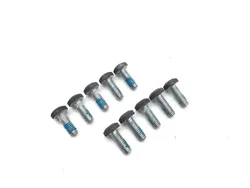 Harley-Davidson 2010 Electra Glide Ultra Classic Front Brake Rotor Bolts 3418