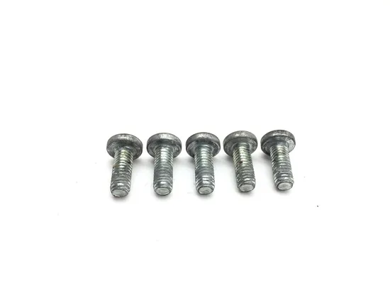 Harley-Davidson 2010 Electra Glide Ultra Rear Brake Rotor Disc Bolts 3418 2