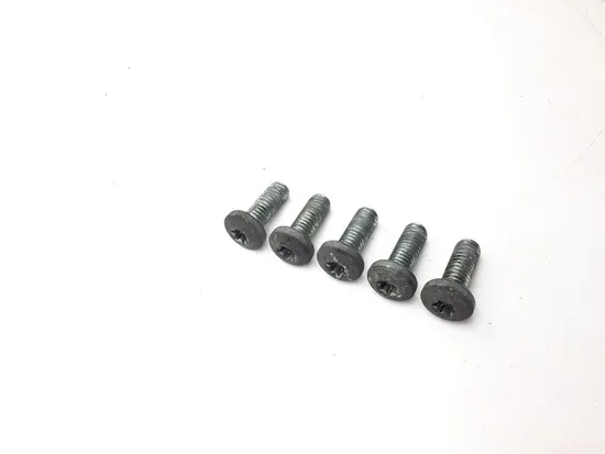 Harley-Davidson 2010 Electra Glide Ultra Rear Brake Rotor Disc Bolts 3418 3