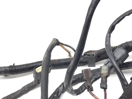 Harley-Davidson 2010 Electra Glide Ultra Main Engine Wiring Harness 3418 x 8