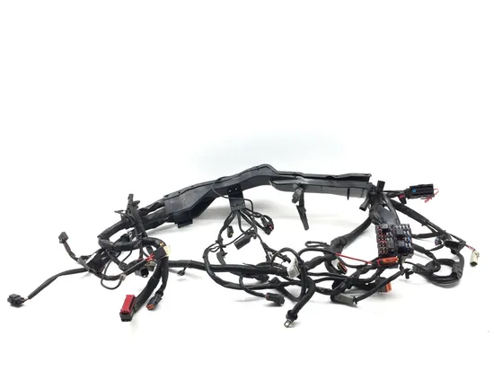 Harley-Davidson 2010 Electra Glide Ultra Main Engine Wiring Harness 3418 x 1