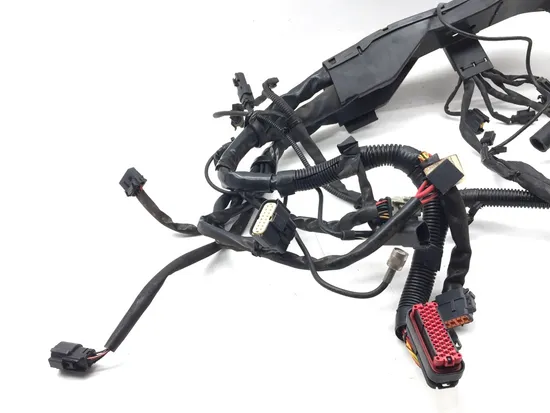 Harley-Davidson 2010 Electra Glide Ultra Main Engine Wiring Harness 3418 x 2