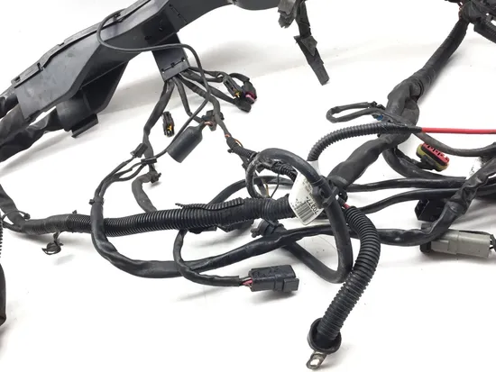 Harley-Davidson 2010 Electra Glide Ultra Main Engine Wiring Harness 3418 x 4