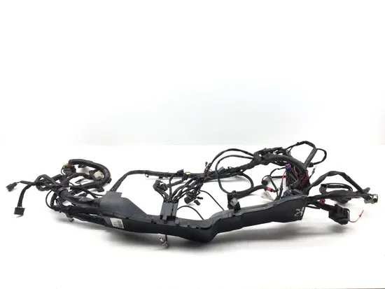 Harley-Davidson 2010 Electra Glide Ultra Main Engine Wiring Harness 3418 x 9
