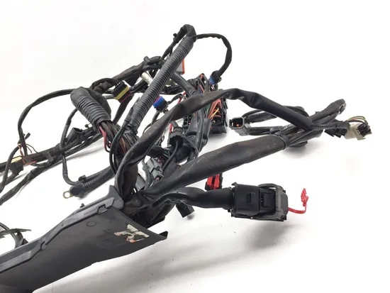 Harley-Davidson 2010 Electra Glide Ultra Main Engine Wiring Harness 3418 x 6