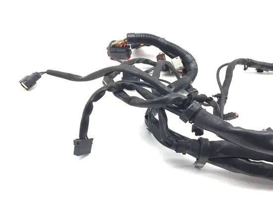 Harley-Davidson 2010 Electra Glide Ultra Main Engine Wiring Harness 3418 x 5