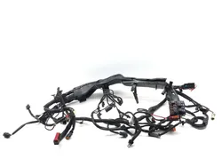 Harley-Davidson 2010 Electra Glide Ultra Main Engine Wiring Harness 3418 x