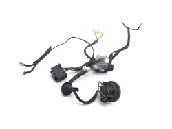 BMW 2003 R1150R Brake Tail Light Harness 3416