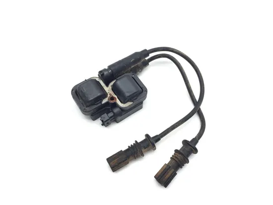 Polaris 2020 Sportsman 850 High Lifter Ignition Coil 3393 1