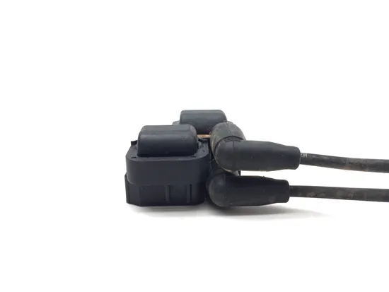 Polaris 2015 RZR XP 1000 EPS Ignition Coil 3403 4