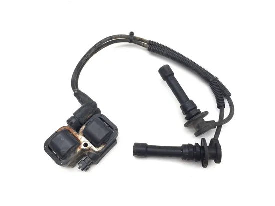 Polaris 2015 RZR XP 1000 EPS Ignition Coil 3403 1
