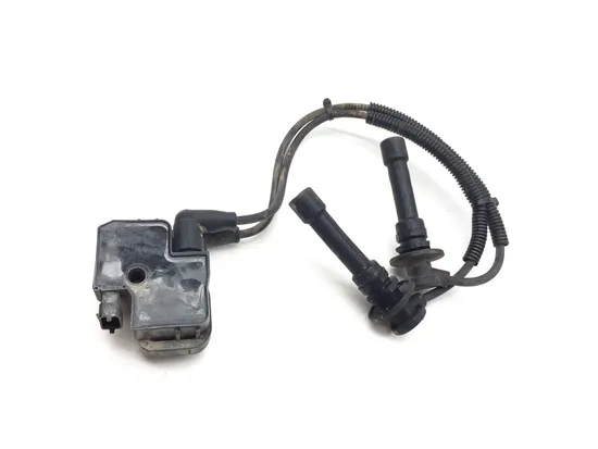 Polaris 2015 RZR XP 1000 EPS Ignition Coil 3403 7