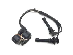 Polaris 2015 RZR XP 1000 EPS Ignition Coil 3403
