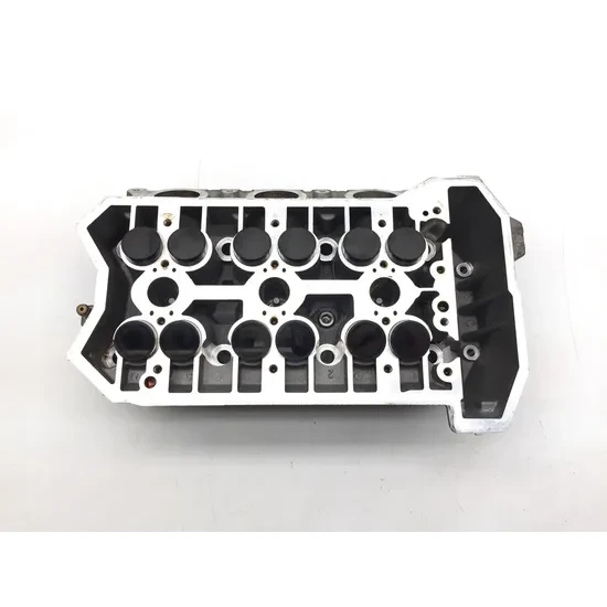 Can-Am 2019 Ryker 900 Engine Cylinder Head Complete W Valves 3417 420623878 3