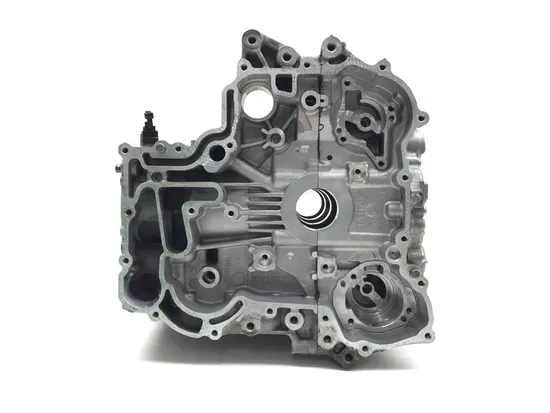 Can-Am 2019 Ryker 900 Engine Left Right Center Cases 3417 420894024 4