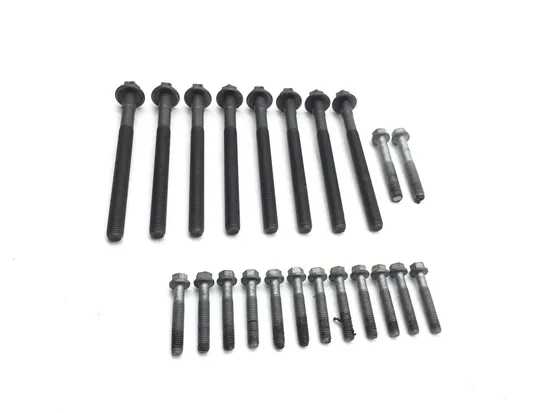 Can-Am 2019 Ryker 900 Engine Left Right Center Case Bolts 3417 2