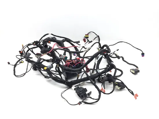 Can-Am 2019 Ryker 900 Main Engine Wiring Harness 3417 710006898
