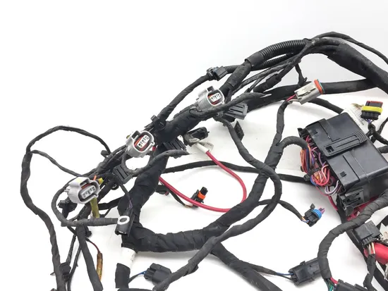 Can-Am 2019 Ryker 900 Main Engine Wiring Harness 3417 710006898 6