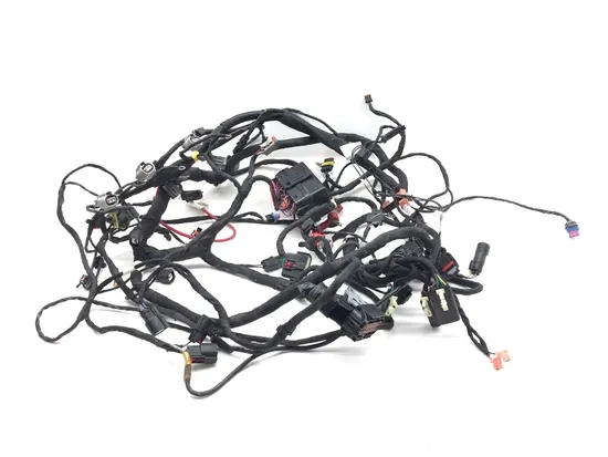 Can-Am 2019 Ryker 900 Main Engine Wiring Harness 3417 710006898 5