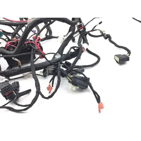 Can-Am 2019 Ryker 900 Main Engine Wiring Harness 3417 710006898 3