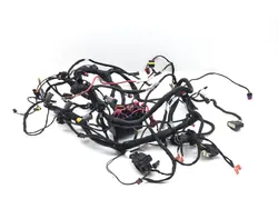 Can-Am 2019 Ryker 900 Main Engine Wiring Harness 3417 710006898