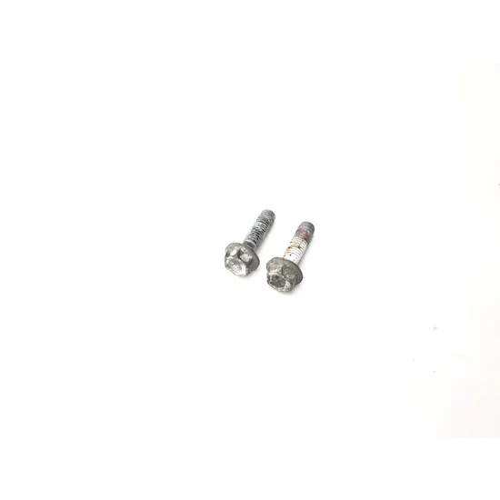Suzuki 1996 DR200SE Front Brake Caliper Mounting Bolts 3430 3