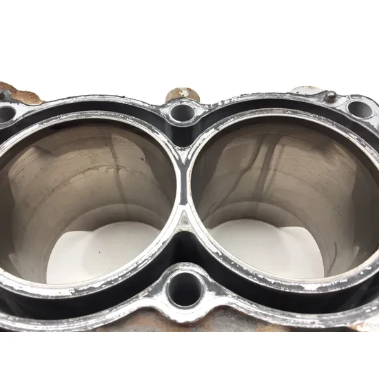 Polaris 2017 General 1000 EPS Engine Cylinder Jug W Piston 3421 2205244, 3023156 2