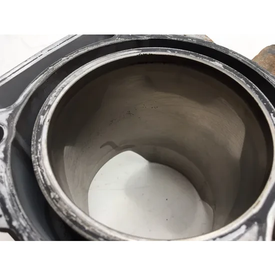 Polaris 2017 General 1000 EPS Engine Cylinder Jug W Piston 3421 2205244, 3023156 5