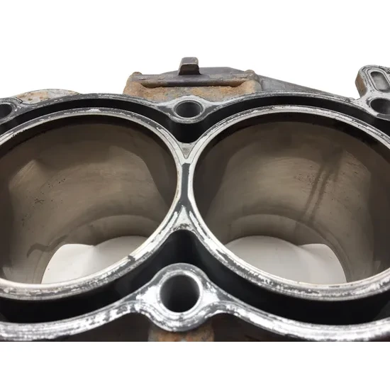 Polaris 2017 General 1000 EPS Engine Cylinder Jug W Piston 3421 2205244, 3023156 3