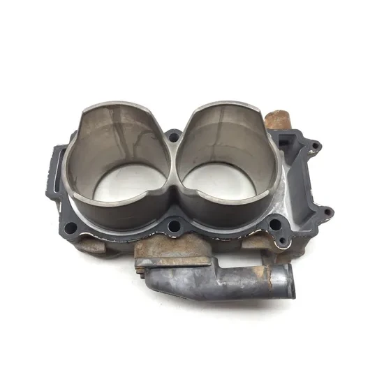 Polaris 2017 General 1000 EPS Engine Cylinder Jug W Piston 3421 2205244, 3023156 6