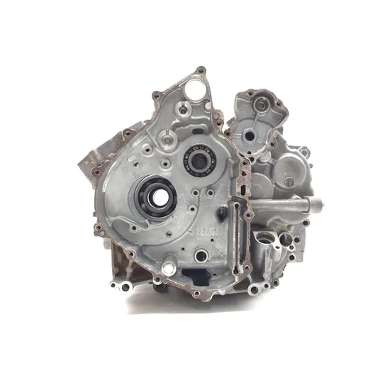 Yamaha 2017 Wolverine R-Spec  Engine Left Right Center Cases Case 3422 1