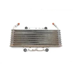 Yamaha 2017 Wolverine R-Spec  Engine Oil Cooler 3422 1NS-E3480-00-00