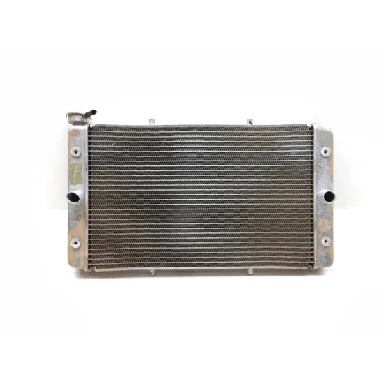 Yamaha 2017 Wolverine R-Spec  Engine Radiator Cooling 3422 x 1XD-E2461-00-00 1
