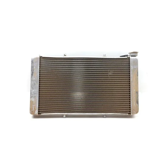 Yamaha 2017 Wolverine R-Spec  Engine Radiator Cooling 3422 x 1XD-E2461-00-00 6