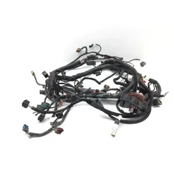 Can-Am 2017 Commander 1000 4x4 XT DPS Main Engine Wiring Harness 3426  710005230