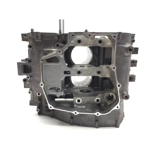 Honda 2018 Pioneer 1000 SXS1000M3 Engine Left Right Center Cases Case 3423 2