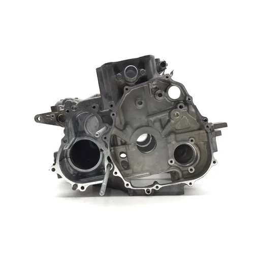 Honda 2018 Pioneer 1000 SXS1000M3 Engine Left Right Center Cases Case 3423 3