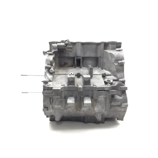 Honda 2018 Pioneer 1000 SXS1000M3 Engine Left Right Center Cases Case 3423 3