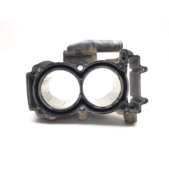 Polaris 2015 RZR XP 1000 EPS Engine Cylinder Jug W Piston 3425 2205244, 3022594 6