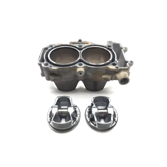 Polaris 2015 RZR XP 1000 EPS Engine Cylinder Jug W Piston 3425 2205244, 3022594 1