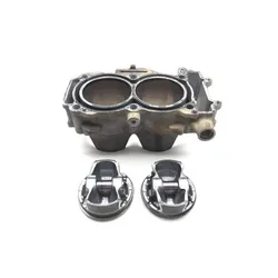Polaris 2015 RZR XP 1000 EPS Engine Cylinder Jug W Piston 3425 2205244, 3022594