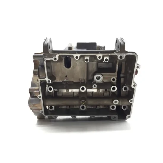 Polaris 2015 RZR XP 1000 EPS Engine Left Right Center Cases Case 3425 2205246 9
