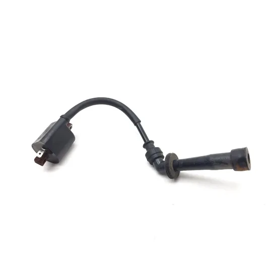Suzuki 2007 Quadsport Z400 LTZ400 2x4 Ignition Coil 3436 4