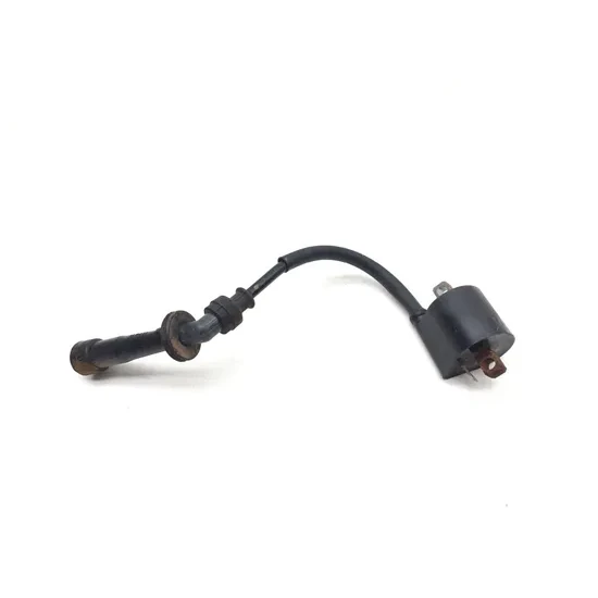 Suzuki 2007 Quadsport Z400 LTZ400 2x4 Ignition Coil 3436 1
