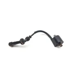 Suzuki 2007 Quadsport Z400 LTZ400 2x4 Ignition Coil 3436
