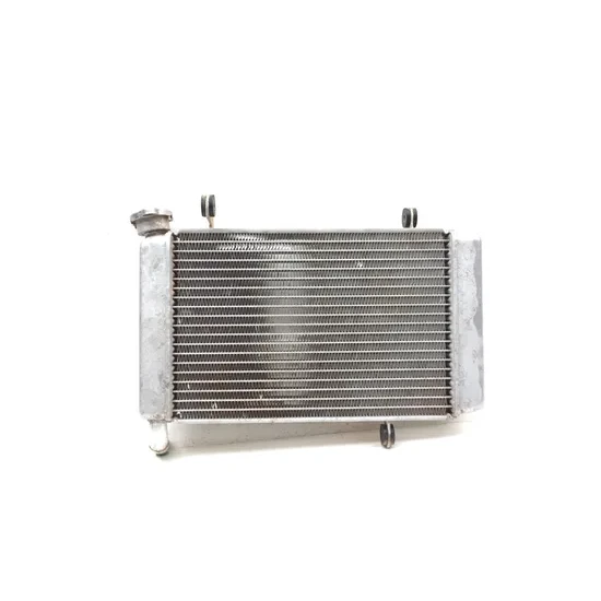 Suzuki 2007 Quadsport Z400 LTZ400 2x4 Engine Radiator Cooling 3436 x 17710-07G10 7
